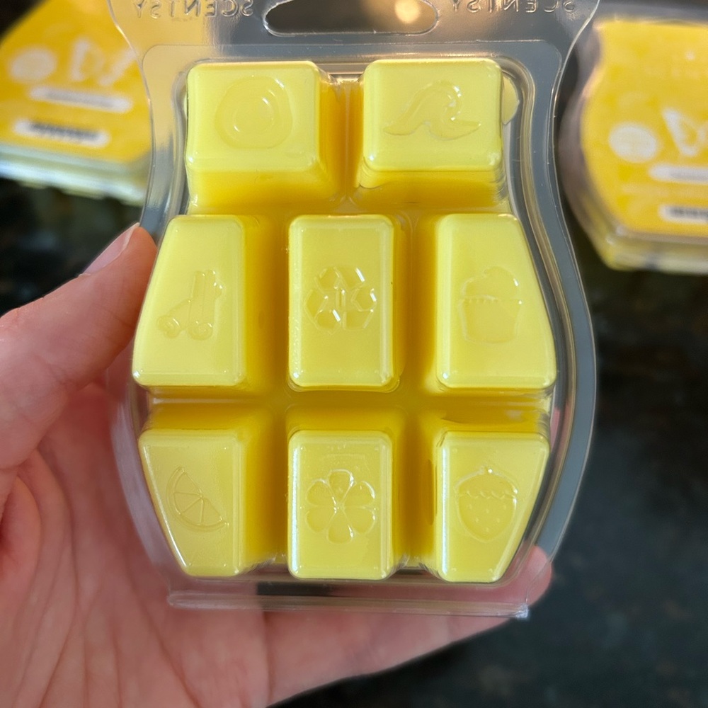 Scentsy Squeeze the Day (1 full pack, 2 partials) - Picture 4 of 6